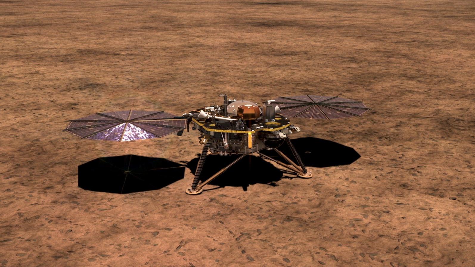 Insight Lander