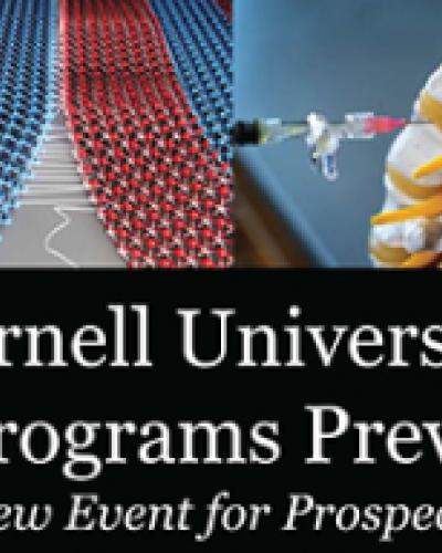 STEM Preview Day