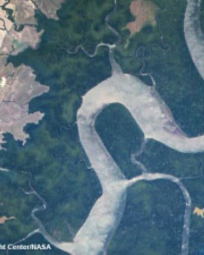 A far overhead view of a river surrounded by forest on Earth&#039;s surface